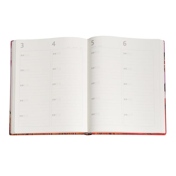 CARMINE 5 Year Snapshot Journal