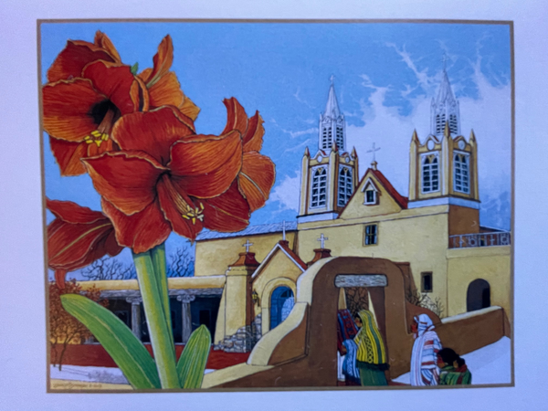 Holiday Amaryllis, San Felipe De Neri, by Douglas Johnson (HOLIDAY GREETING INSIDE)