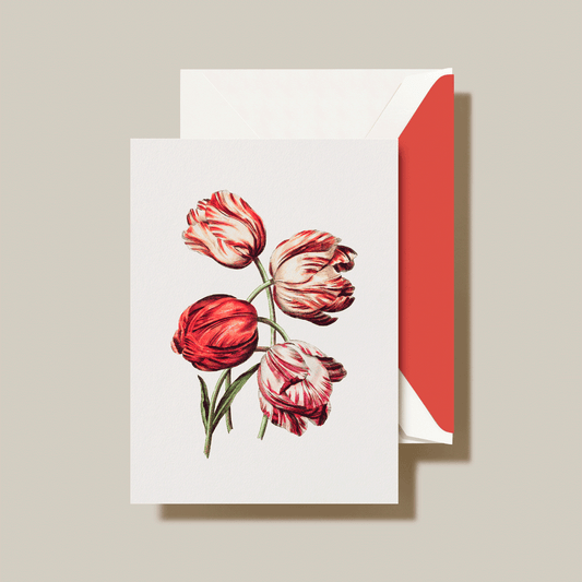 CT12032 Modern Vintage Tulip Note