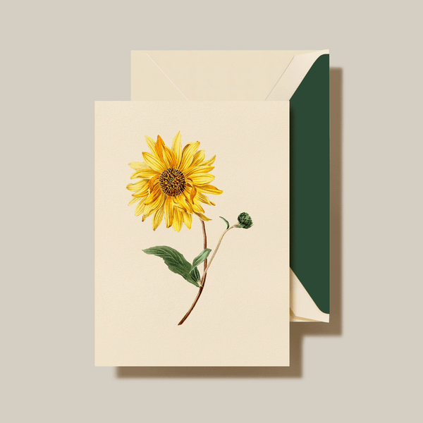 Crane Modern Vintage Sunflower Note