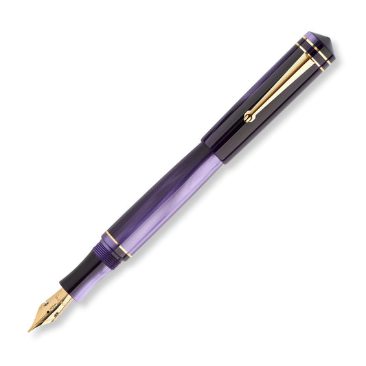 Delta PURPLE Write Balance Fountain Pen