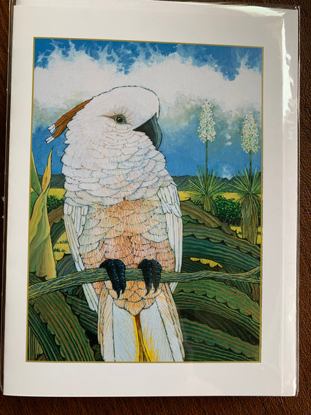 White Bird by Douglas Johnson (choose boxed or single cards)