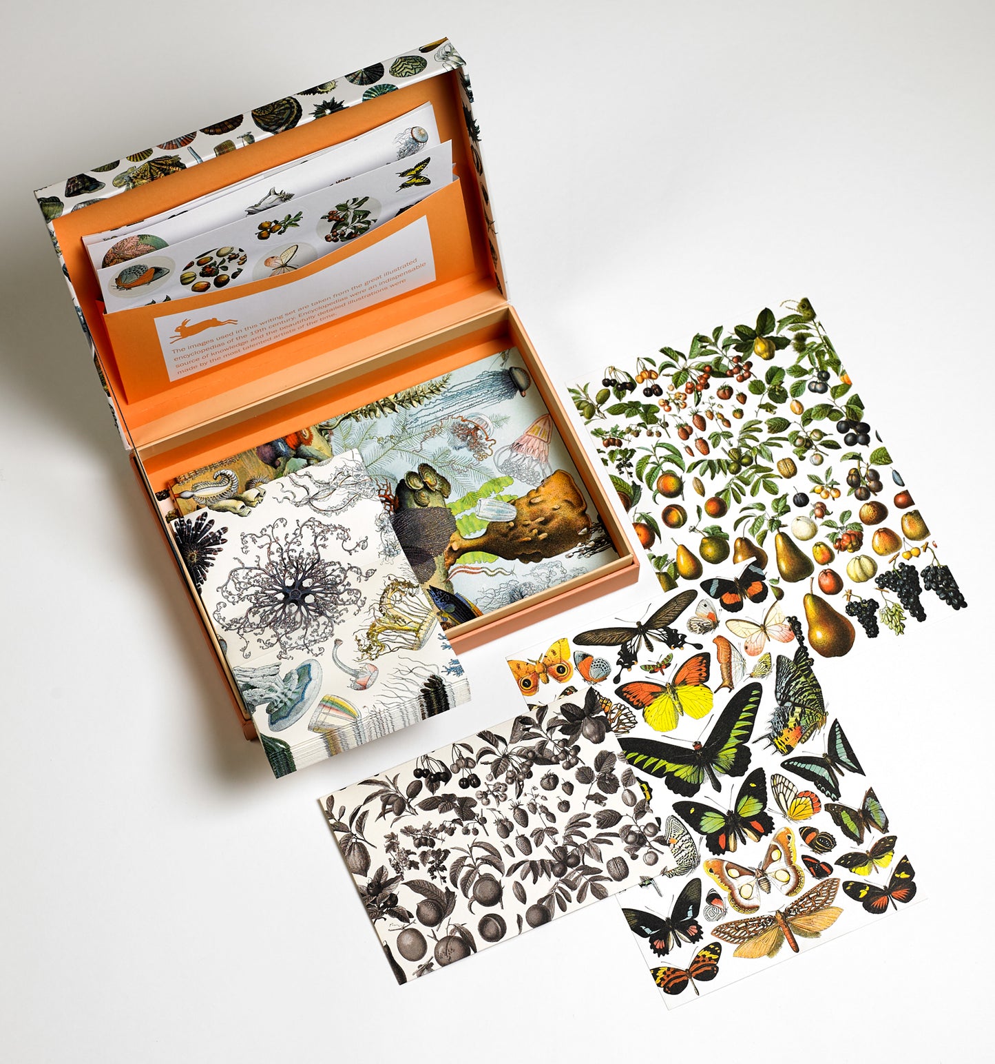 Natural History Pepin Boxed Stationery