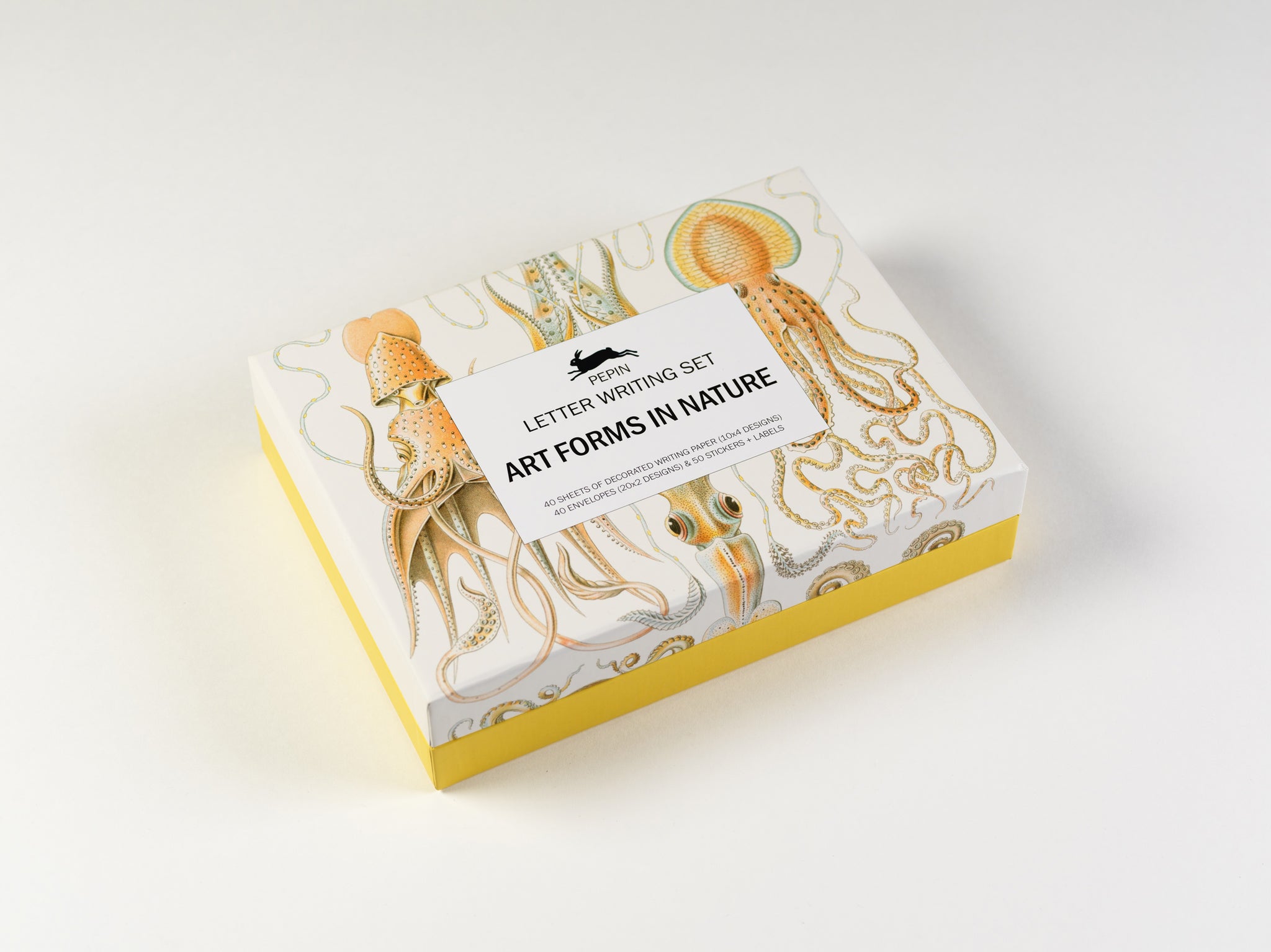 Art Forms in Nature Pepin Boxed Stationery