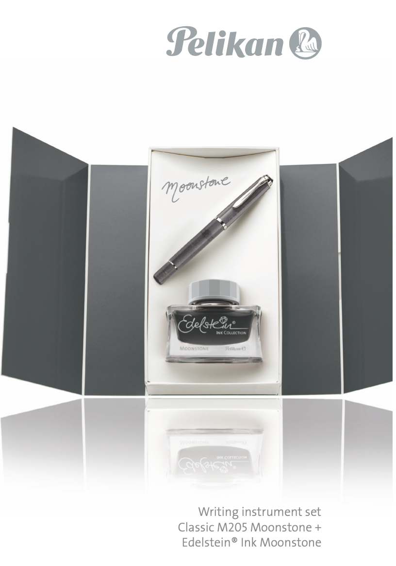 Pelikan Moonstone Fountain Pen and Ink Set