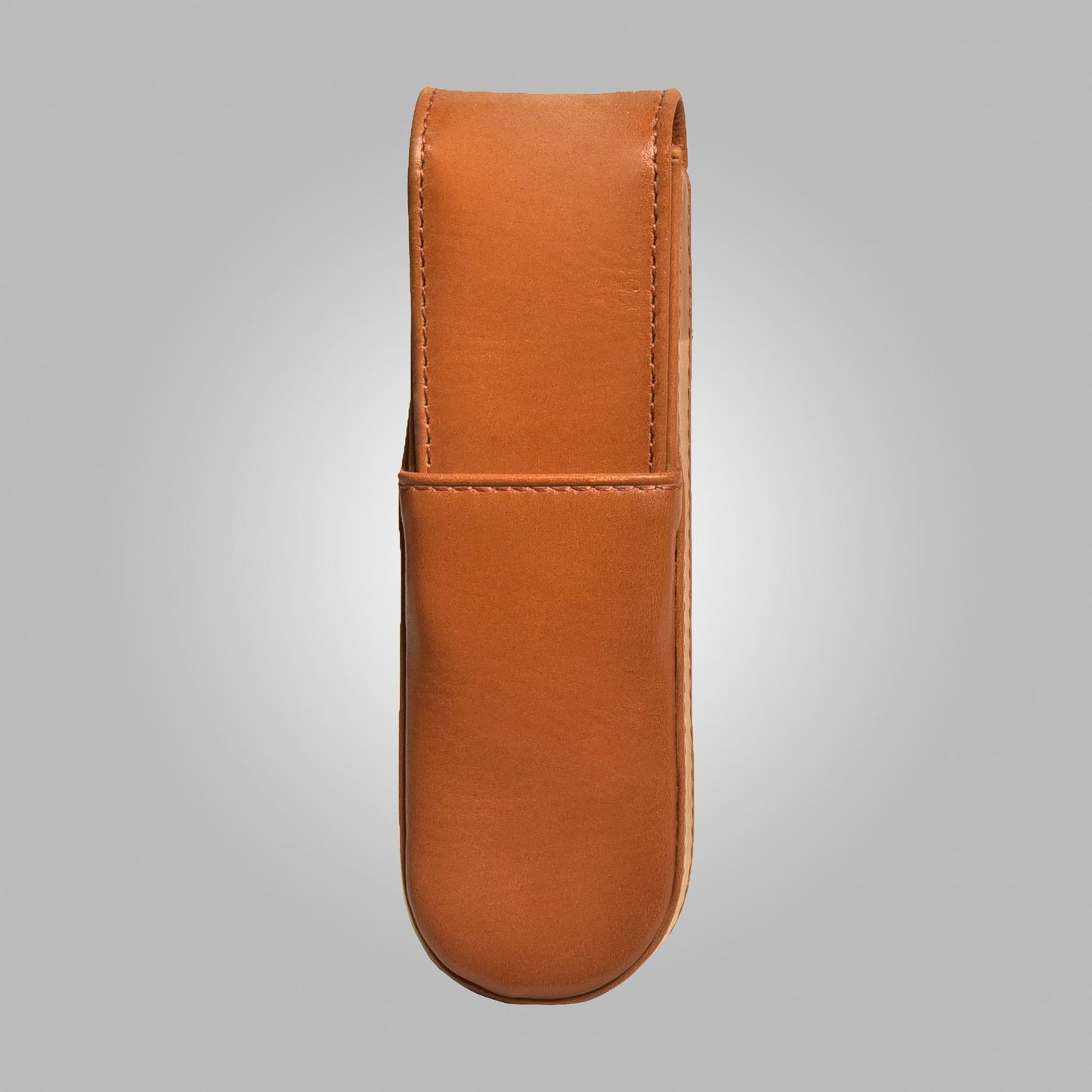 Aston Leather Double Pen Case