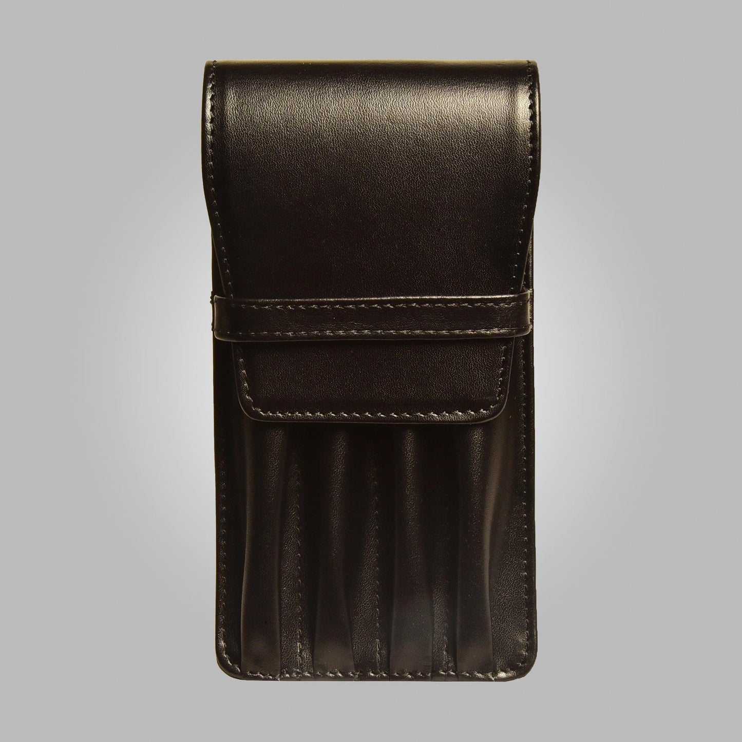 Aston Leather 4 Pen CASE